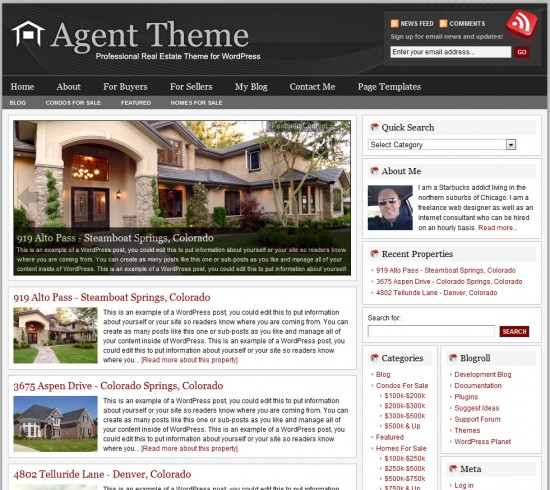 agent-wordpress-theme