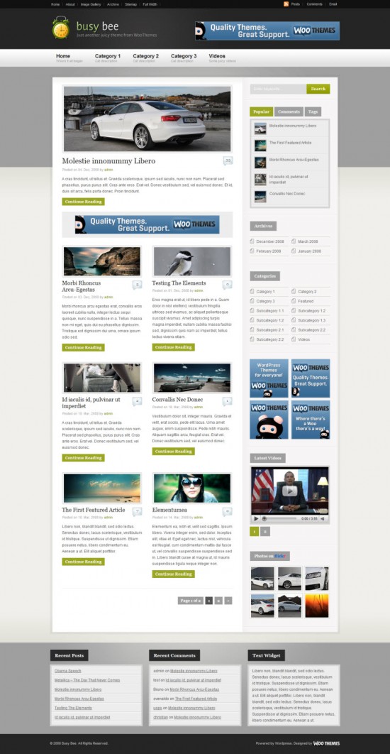 WooThemes-BusyBee-Personal-Magazine-Theme-Reduced