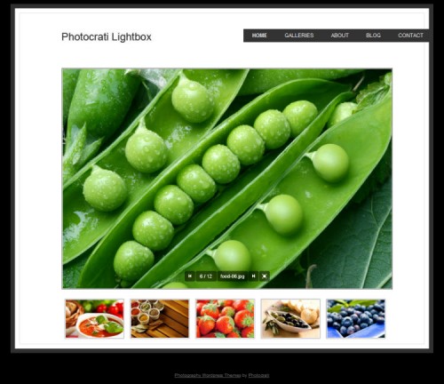 photocrati-lightbox-wordpress-theme
