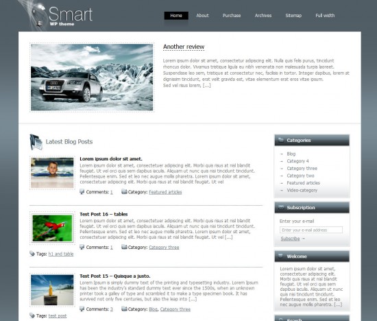 smart-wordpress-theme